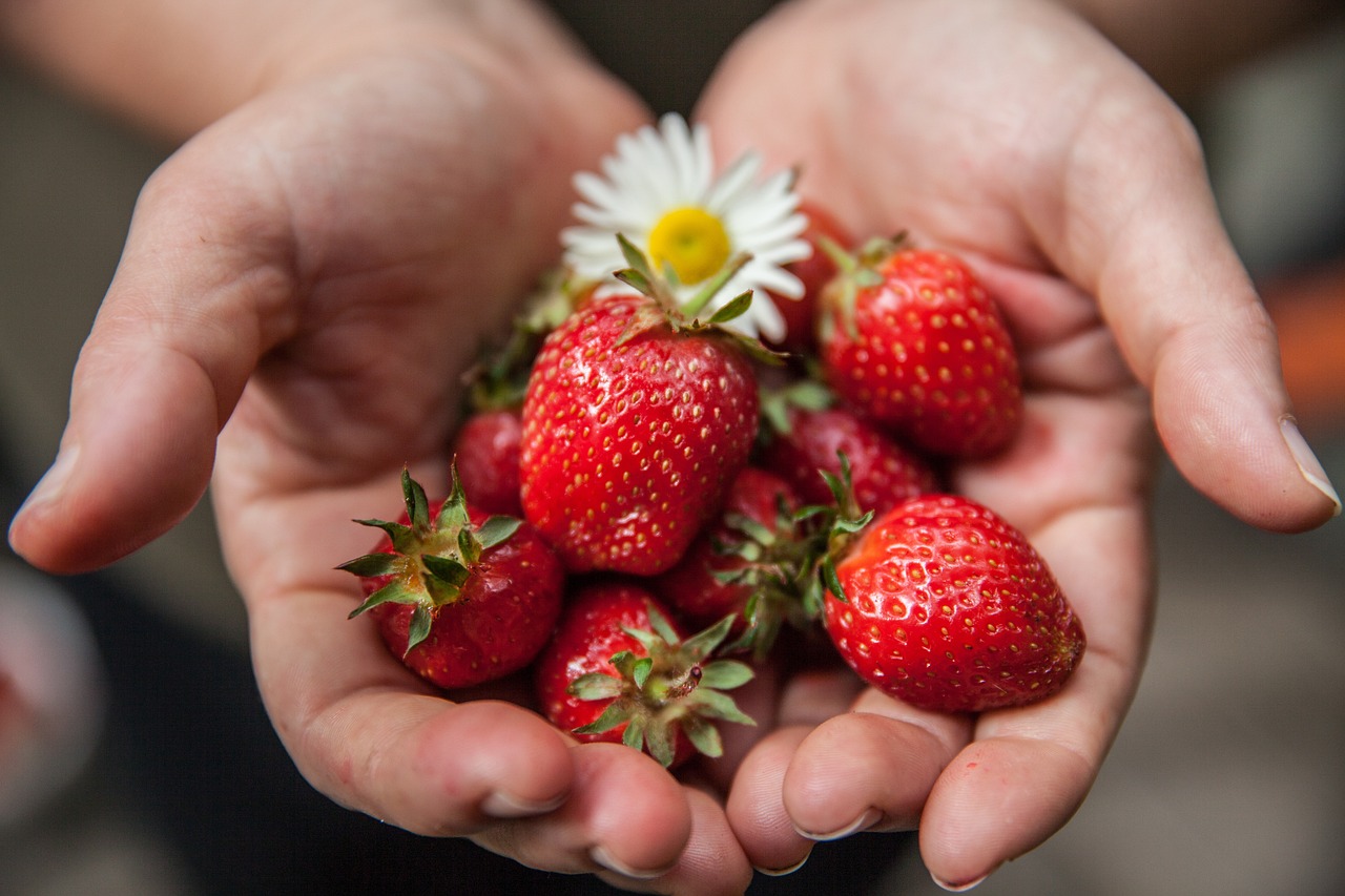 découvrez les secrets d'une alimentation saine et équilibrée pour améliorer votre bien-être et votre vitalité. explorez des conseils nutritionnels, des recettes délicieuses et des astuces pour intégrer des aliments sains dans votre quotidien.